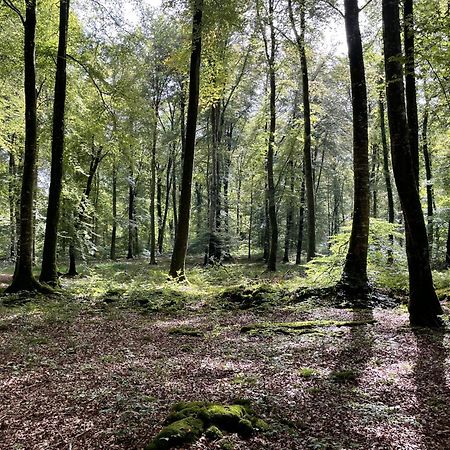 Вілла Le Courtil Cerisy-la-Foret Екстер'єр фото